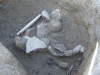 Tajanov pč. 267.